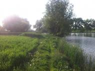 Іванівка з panoramio.com