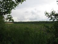 Рудня-Городищенська з panoramio.com