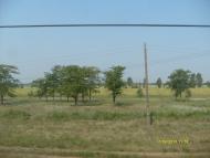 Долинське з panoramio.com