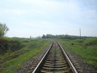 Старі Бейзими з panoramio.com