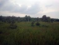 Загальці з panoramio.com