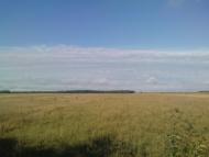 Тишківка з panoramio.com