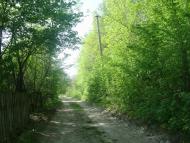 Маціорськ з panoramio.com