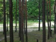 Приліпка з panoramio.com