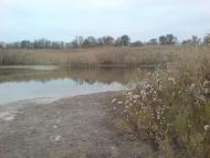 Шевченко з panoramio.com