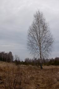 Грядки з panoramio.com