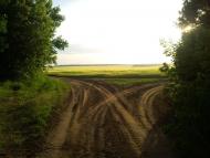 Нова Січ з panoramio.com