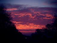 Грушівці з panoramio.com