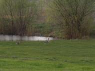 Верхня Мануйлівка з panoramio.com