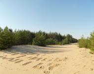 Знаменівка з panoramio.com - Znamenivka