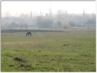 Новий Стародуб з panoramio.com