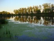 Шелудьківка з panoramio.com