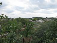 Вільхове з panoramio.com