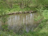 Бережне з panoramio.com