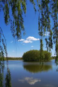 Ставище з panoramio.com