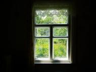 Іванківці з panoramio.com