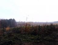 Тарасенки з panoramio.com - Тарасенки