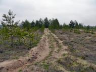 Новотроїцьке з panoramio.com