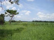 Русанів з panoramio.com