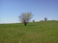 Великий Омеляник з panoramio.com