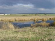 Пересадівка з panoramio.com