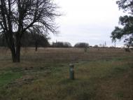 Язвинка з panoramio.com