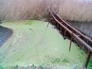 Гамаліївка з panoramio.com