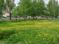 Сєверне з panoramio.com