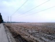 Тарасенки з panoramio.com - Тарасенки