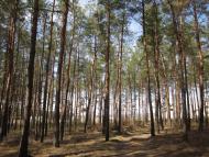 Мисайлівка з panoramio.com