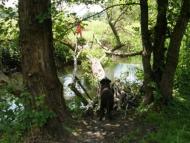 Кошівка з panoramio.com