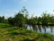 Пліщин з panoramio.com