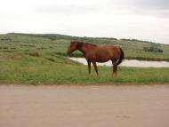 Артемівка з panoramio.com