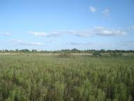 Зірка з panoramio.com