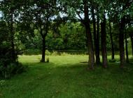 Прибузьке з panoramio.com