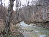 Овражки з panoramio.com - Овражки