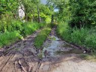 Солонка з panoramio.com