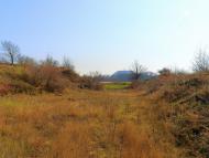 Нижня Кринка з panoramio.com