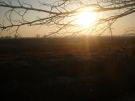 Нова Буда з panoramio.com
