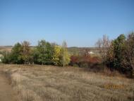 Оленівка з panoramio.com