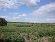 Кам'янка з panoramio.com