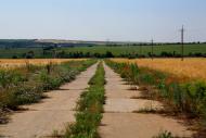 Калинівка з panoramio.com - Калиновка