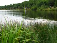 Дернаки з panoramio.com