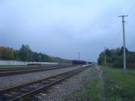 Веснянка з panoramio.com