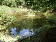 Китайгород з panoramio.com