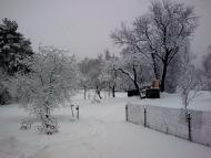 Тернавка з panoramio.com