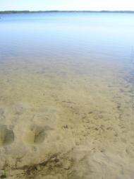 Згорани з panoramio.com