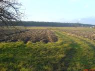 Бодячів з panoramio.com