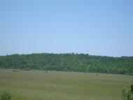 Велика Рибиця з panoramio.com