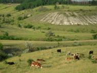 Хворостянівка з panoramio.com